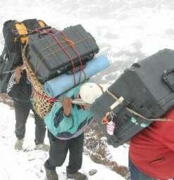 Pelican 1610-FL Large Wheeled Transport Case With 2 Inch Foam Lining -travel storage Shop pelican 1610 app hiking 1